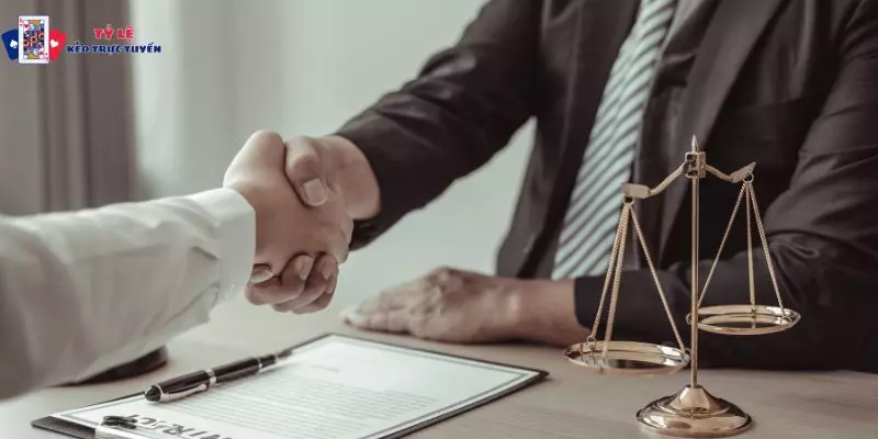 Điều khoản của website soi kèo này