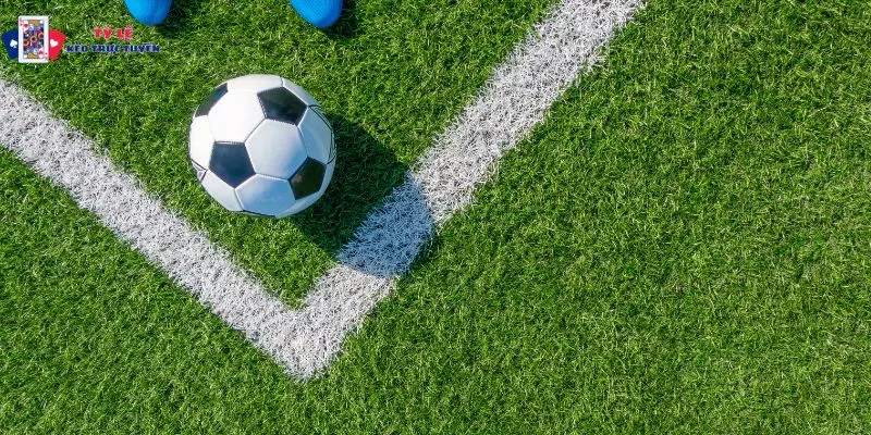 Phân tích trận cầu Ligue 1 chi tiết